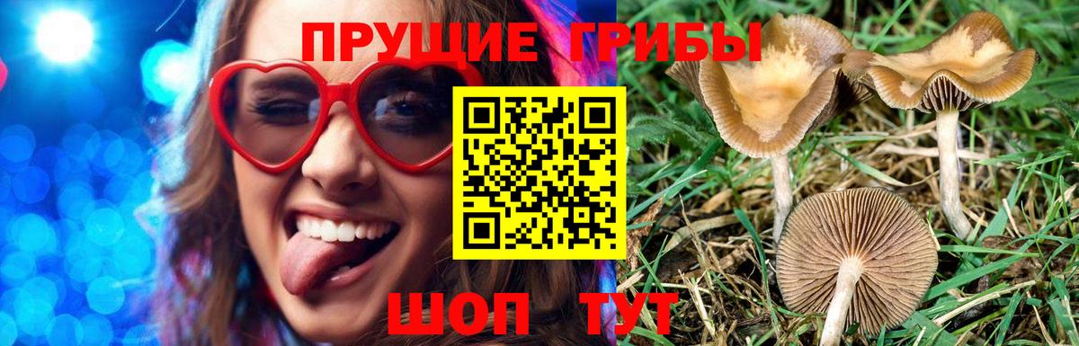 Галлюциногенные грибы Cubensis  Вход с VPN  Юрга  Псилоцибиновые грибы ЛСД 