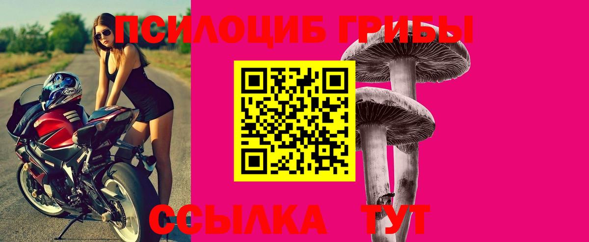 Галлюциногенные грибы Psilocybine cubensis Юрга